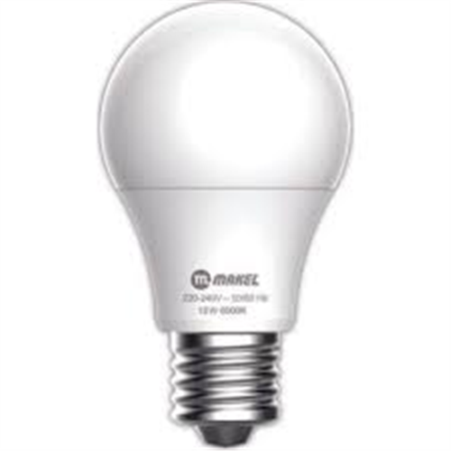 12 W LED AMPUL